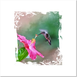 Hummingbird And Hibiscus Flower Posters and Art